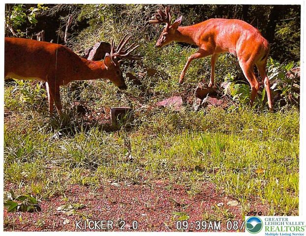 313 East Fireline Road, Parryville Boro, PA 18244