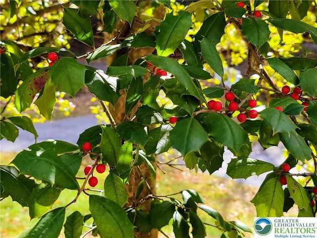 313 East Fireline Road, Parryville Boro, PA 18244