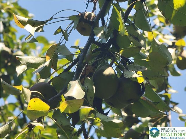 313 East Fireline Road, Parryville Boro, PA 18244