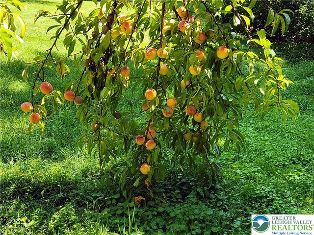 313 East Fireline Road, Parryville Boro, PA 18244