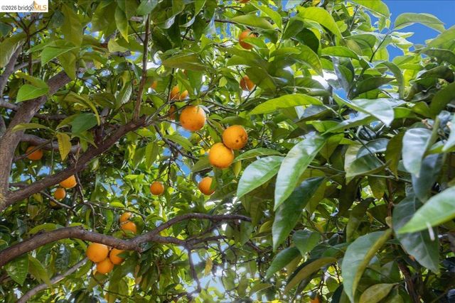 2201 Coloma St., Oakland, CA 94602