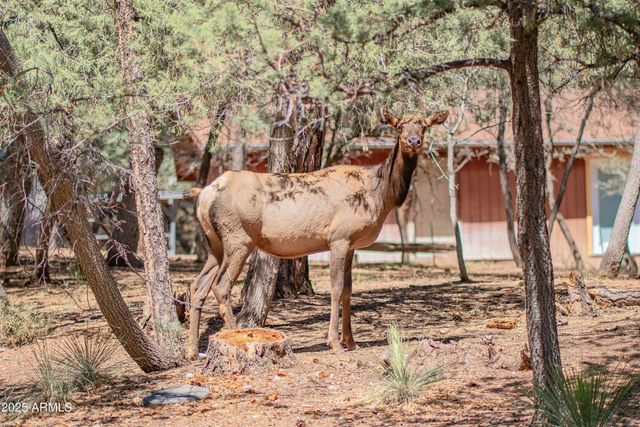 3372 N BRADSHAW Circle, Pine, AZ 85544