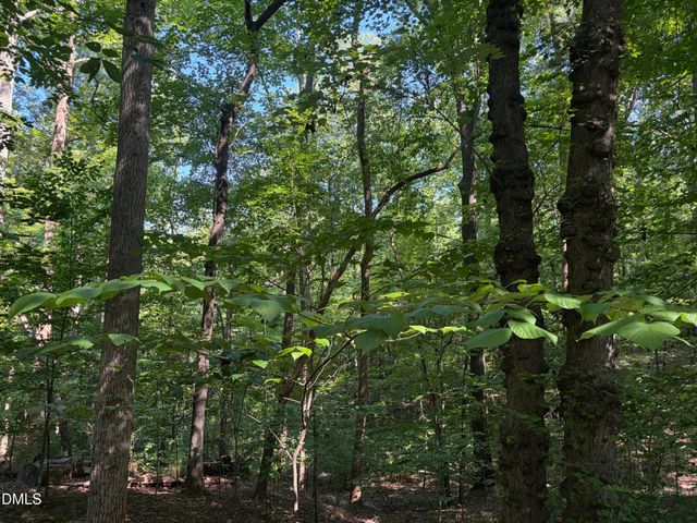 Lot 1 Marvin Edwards Lane, Chapel Hill, NC 27517