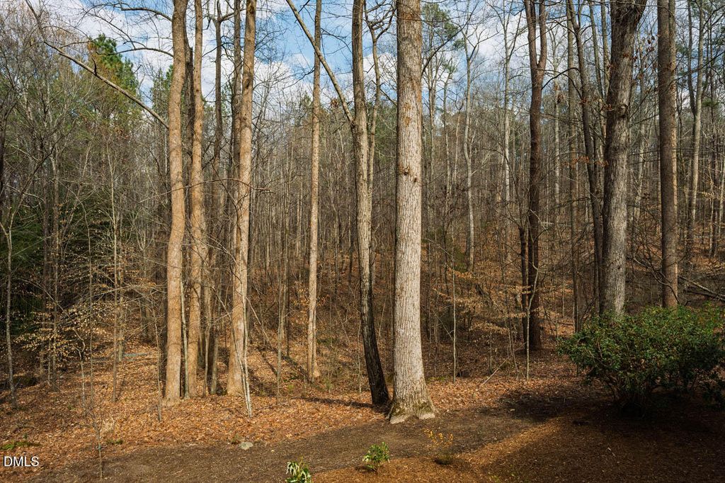 Lot 1 Marvin Edwards Lane, Chapel Hill, NC 27517
