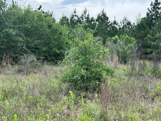 TBD Blue Jay RD, Bastrop, TX 78602