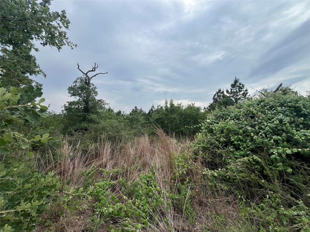 TBD Blue Jay RD, Bastrop, TX 78602