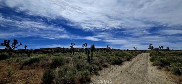 8900 Bainard Canyon, Littlerock, CA 93550