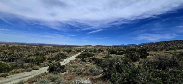 8900 Bainard Canyon, Littlerock, CA 93550