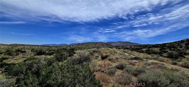 8900 Bainard Canyon, Littlerock, CA 93550