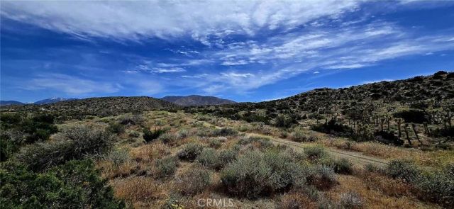 8900 Bainard Canyon, Littlerock, CA 93550