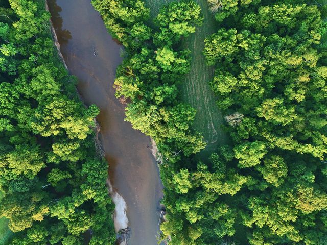 15221 Cleveland Road, Houston, MO 65483