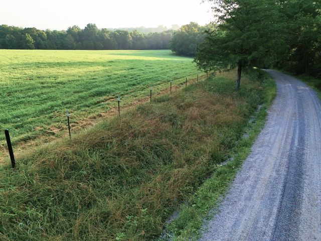 15221 Cleveland Road, Houston, MO 65483