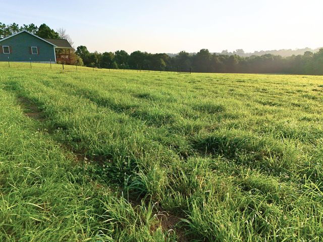 15221 Cleveland Road, Houston, MO 65483