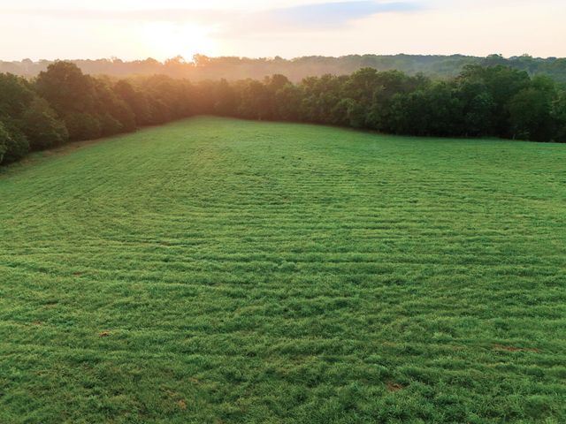 15221 Cleveland Road, Houston, MO 65483