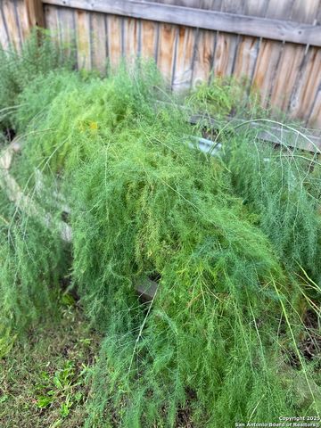 1651 Gruene Grass, New Braunfels, TX 78130