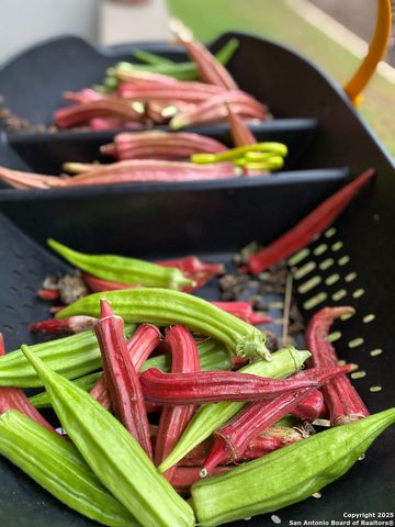 1651 Gruene Grass, New Braunfels, TX 78130