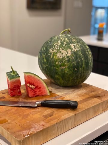 1651 Gruene Grass, New Braunfels, TX 78130