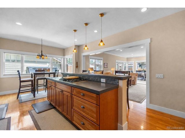 1910 S Corona St, Denver, CO 80210