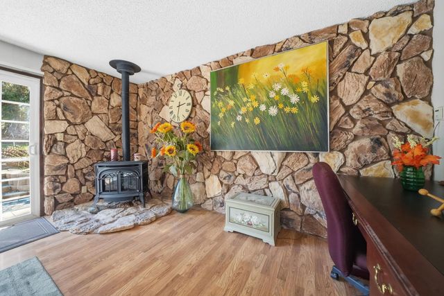 23420 Robin Rd, Pioneer, CA 95666