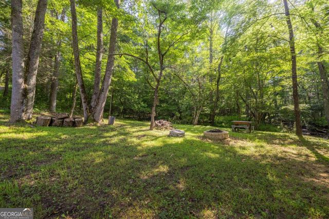 60 Buckeye Branch Road, Morganton, GA 30560