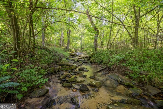 60 Buckeye Branch Road, Morganton, GA 30560