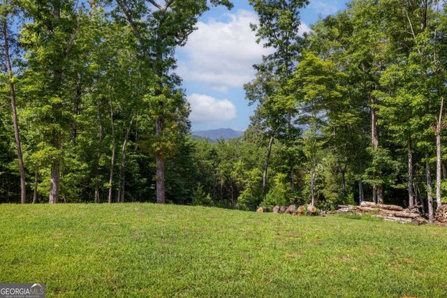 60 Buckeye Branch Road, Morganton, GA 30560