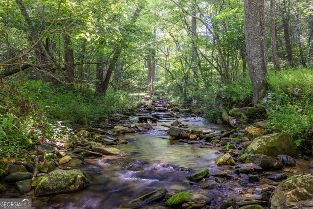 60 Buckeye Branch Road, Morganton, GA 30560