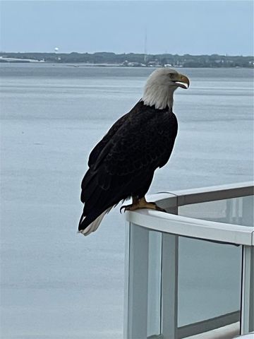 3060 GRAND BAY BOULEVARD 174, Longboat Key, FL 34228