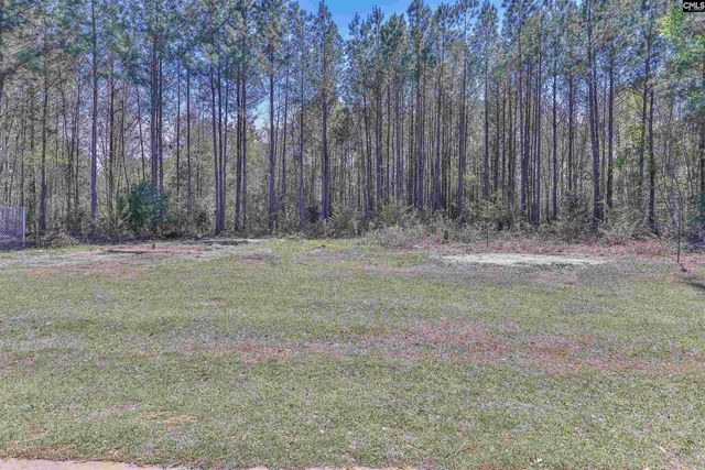 527 Calhoun Road, Swansea, SC 29160