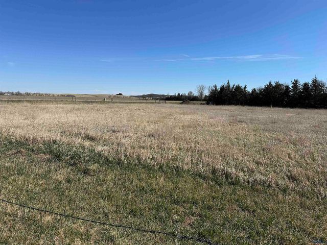 21883 EMPIRE PLACE, Piedmont, SD 57769