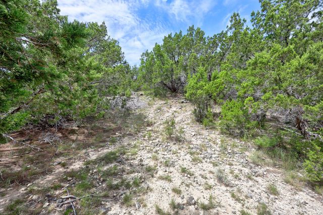 20801 Leaning Oak DR, Lago Vista, TX 78645