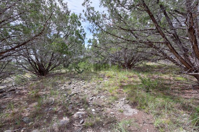 20801 Leaning Oak DR, Lago Vista, TX 78645