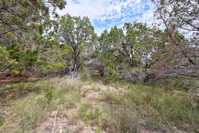 20801 Leaning Oak DR, Lago Vista, TX 78645