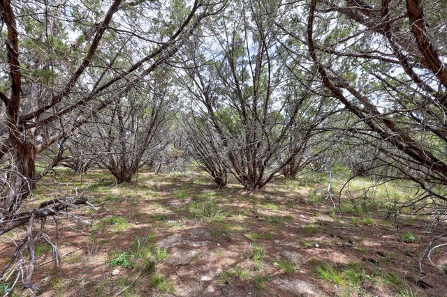 20801 Leaning Oak DR, Lago Vista, TX 78645