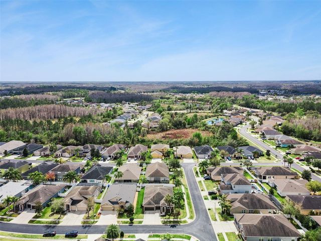 31518 BEARDED OAK DRIVE, Wesley Chapel, FL 33543