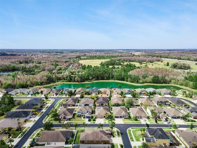 31518 BEARDED OAK DRIVE, Wesley Chapel, FL 33543