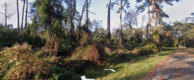 Lot 51 Overcup Drive, Spring, TX 77389