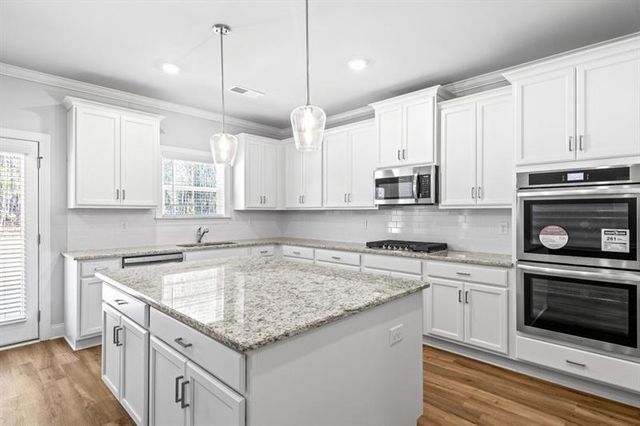 3240 Lions Ruby Lane, Atlanta, GA 30349