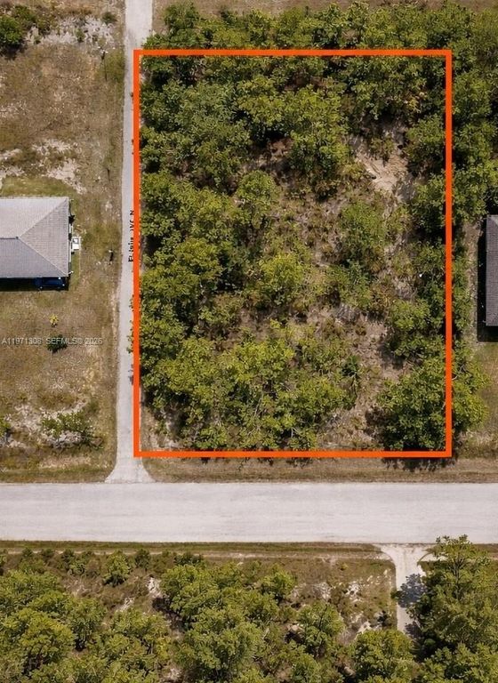2910 Elaine Ave N, Lehigh Acres, FL 33971