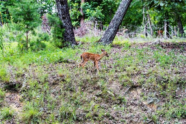 117 Fort Gibson Court, Waleska, GA 30183