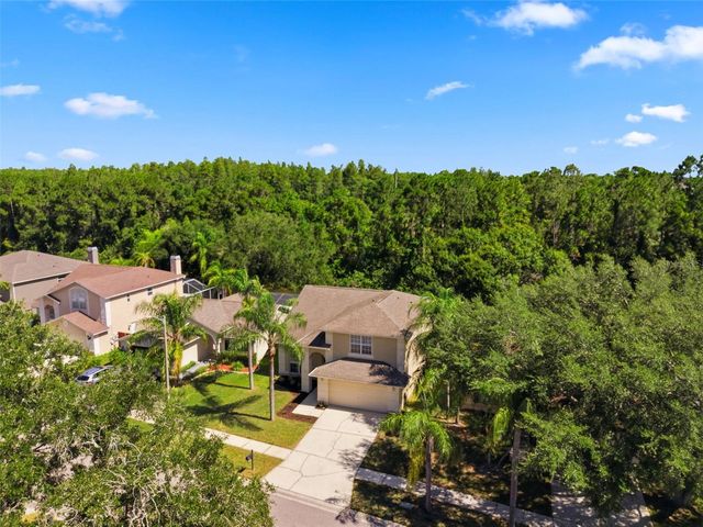 11213 CLAYRIDGE DRIVE, Tampa, FL 33635