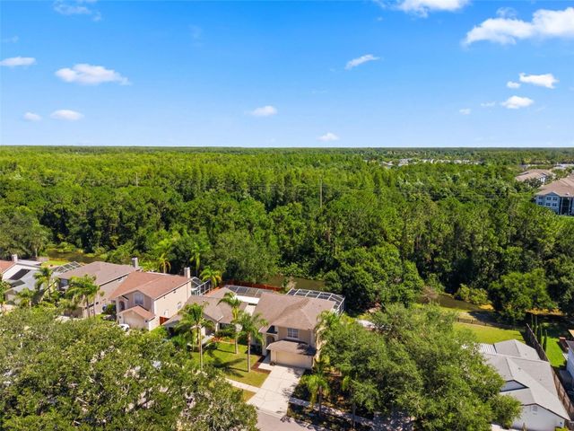 11213 CLAYRIDGE DRIVE, Tampa, FL 33635
