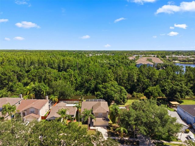 11213 CLAYRIDGE DRIVE, Tampa, FL 33635