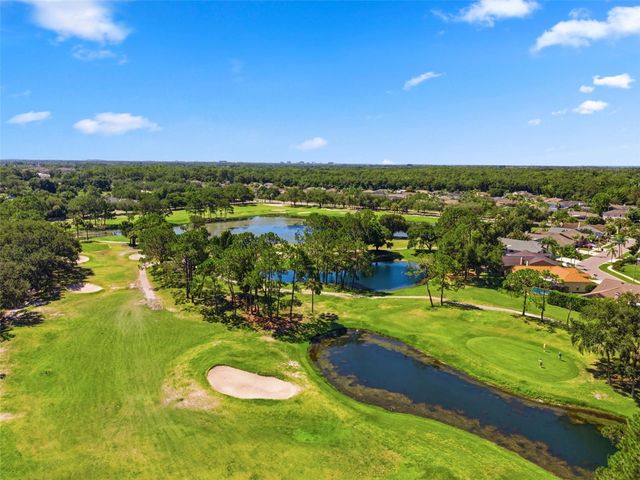 11213 CLAYRIDGE DRIVE, Tampa, FL 33635