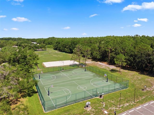 11213 CLAYRIDGE DRIVE, Tampa, FL 33635