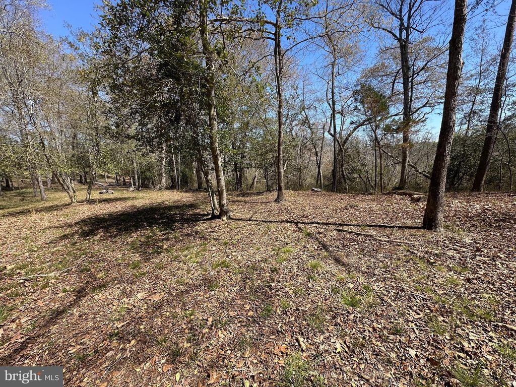 Image 46 of property listing at 5113 RIVER RD, Hurlock, MD 21643
