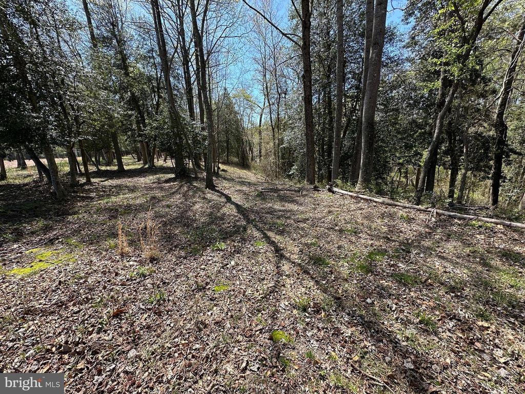 Image 48 of property listing at 5113 RIVER RD, Hurlock, MD 21643