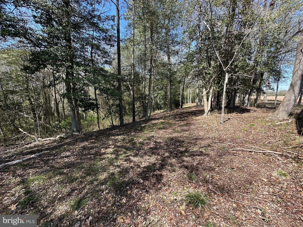 Image 49 of property listing at 5113 RIVER RD, Hurlock, MD 21643