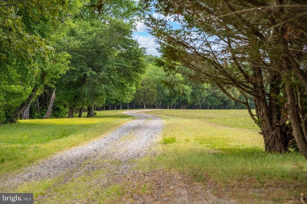Image 2 of property listing at 5113 RIVER RD, Hurlock, MD 21643