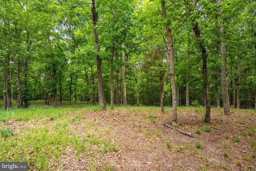 Image 3 of property listing at 5113 RIVER RD, Hurlock, MD 21643